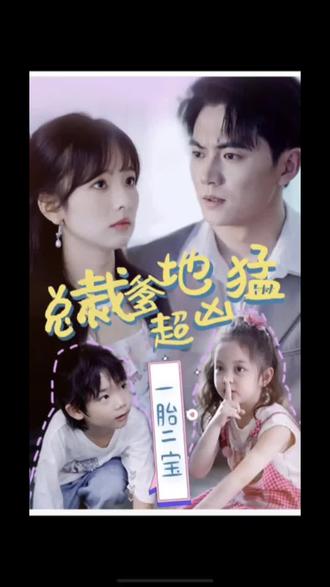 桐城网站优化排名软件